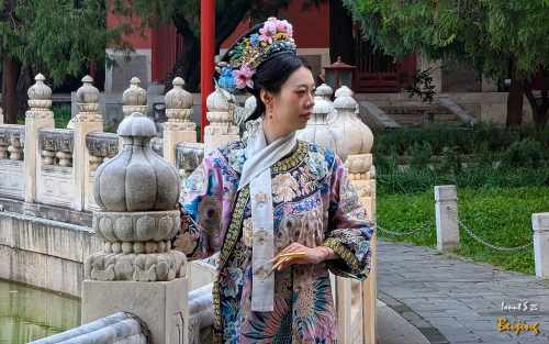 Chipurile-Beijingului-16