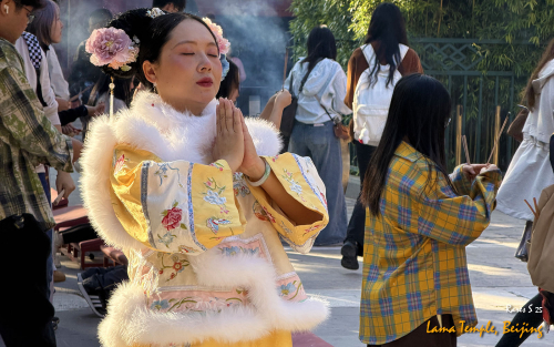 Chipurile-Beijingului-2