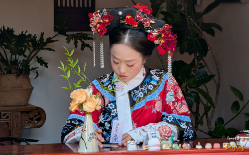 Chipurile-Beijingului-4