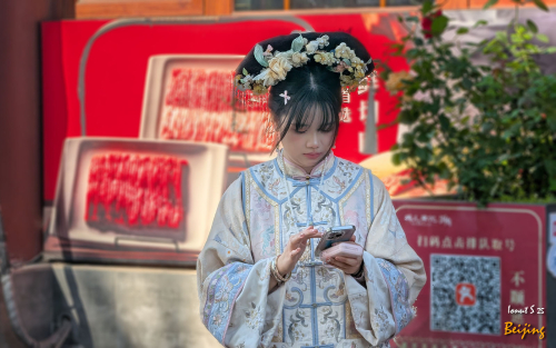 Chipurile-Beijingului-7