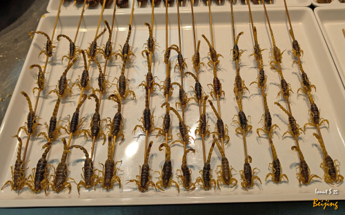 De-gustibus-Beijing-11