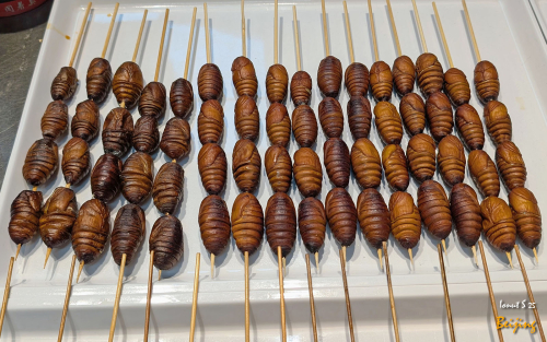 De-gustibus-Beijing-12