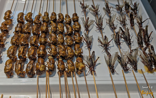 De-gustibus-Beijing-13