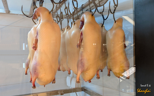 De-gustibus-Shanghai-23