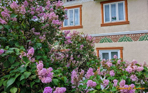 PXL 20250609 0714133922