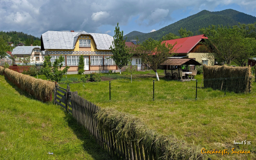 PXL 20250609 075118630.MP 