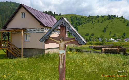 PXL 20250609 082716754