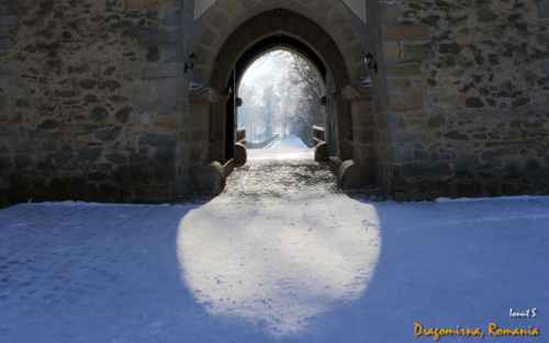 Dragomirna iarna 2014 012