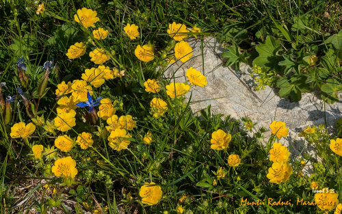 PXL 20250607 072314327