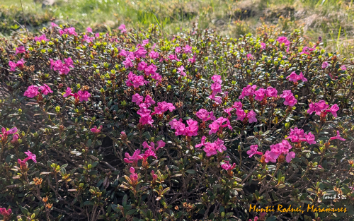 PXL 20250607 073730675