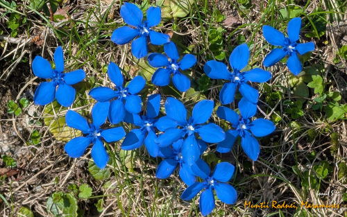 PXL 20250607 080418400