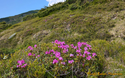 PXL 20250607 082259653