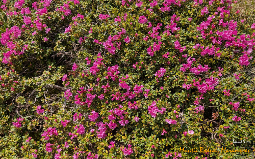 PXL 20250607 082834689