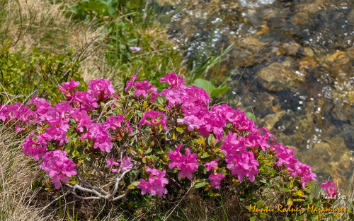 PXL 20250607 091300298