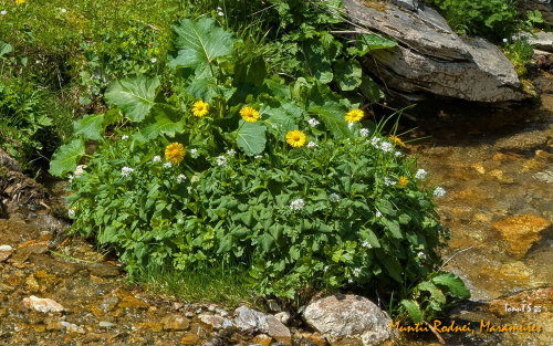 PXL 20250607 112915084