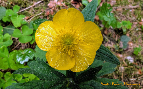 PXL 20250608 081227621.MP2 