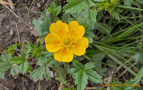 PXL 20250608 092316495.MP 