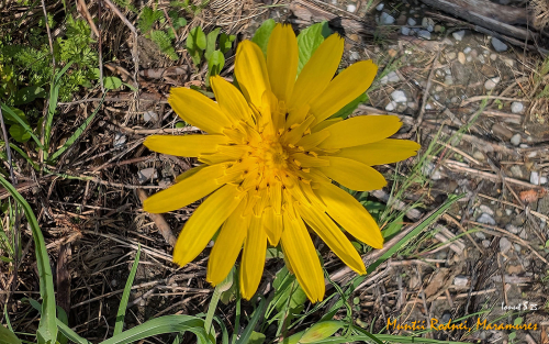 PXL 20250609 065127970