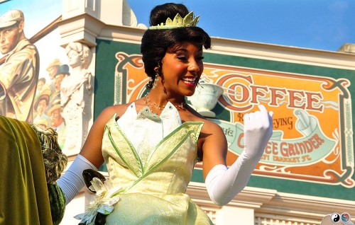 Disneyland (75)