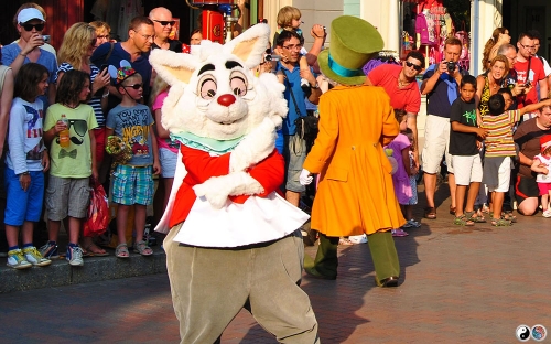 Disneyland (83)