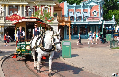 Disneyland (88)