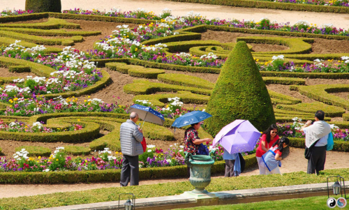 Versailles (41)