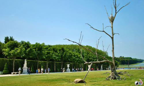 Versailles (46)