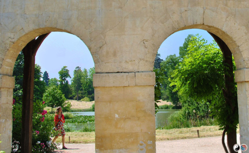 Versailles (54)