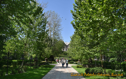 Parcurile și grădinile