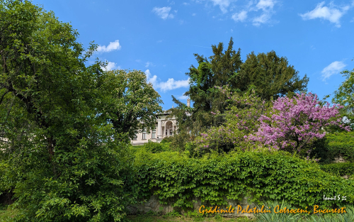 PXL 20250502 071708545