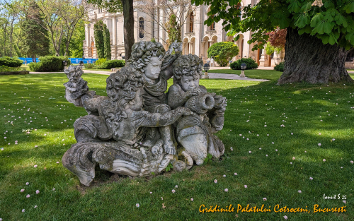 PXL 20250502 082418860