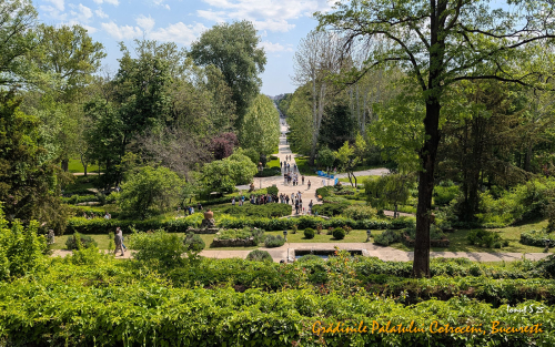 PXL 20250502 082455175.MP 