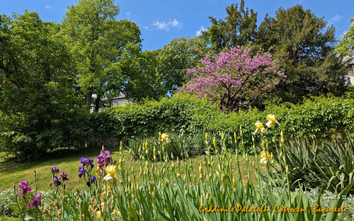 PXL 20250502 083806351.MP 