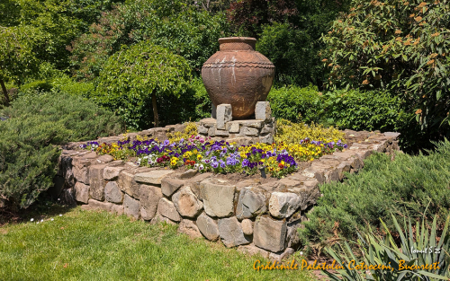 PXL 20250502 092851685.MP 