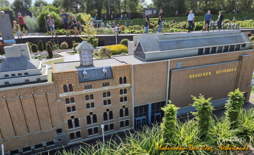 RARES-HAGA-MADURODAM-42