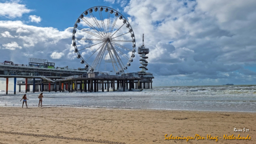 RARES-SCHEVEININGEN-6