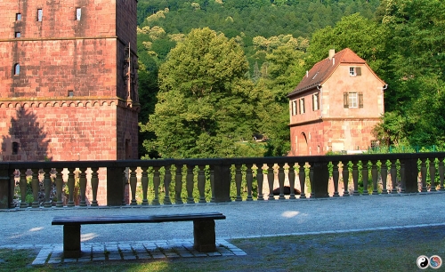 Heidelberg (17)