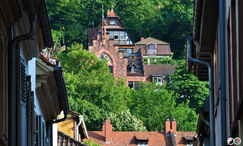 Heidelberg (20)
