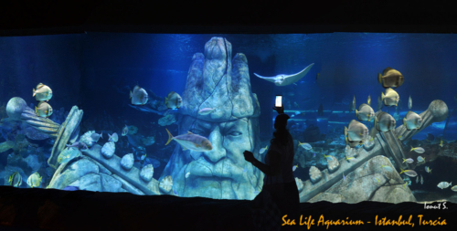 Sealife Aquarium