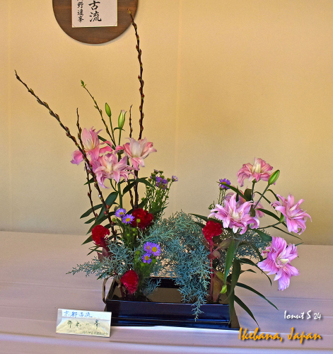 Ikebana-DSC 4817