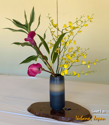 Ikebana-PXL 20241103 022147030