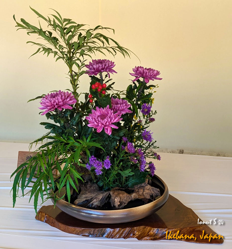 Ikebana-PXL 20241103 022154064