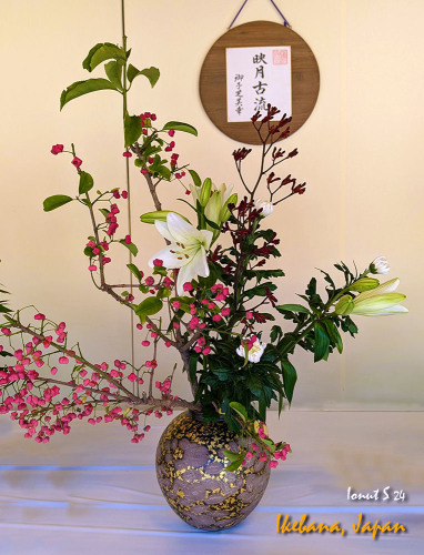 Ikebana-PXL 20241103 022245355