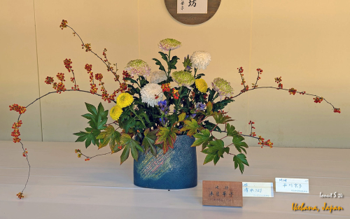 Ikebana-PXL 20241103 022334810