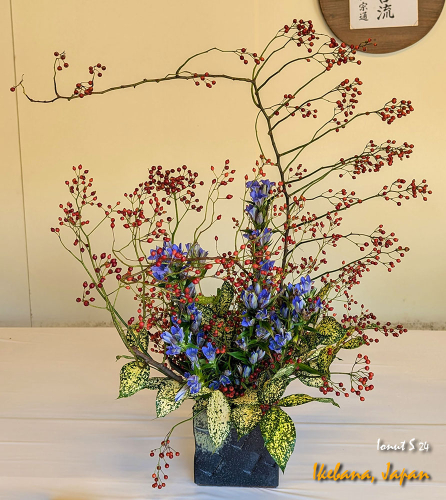 Ikebana-PXL 20241103 022416799