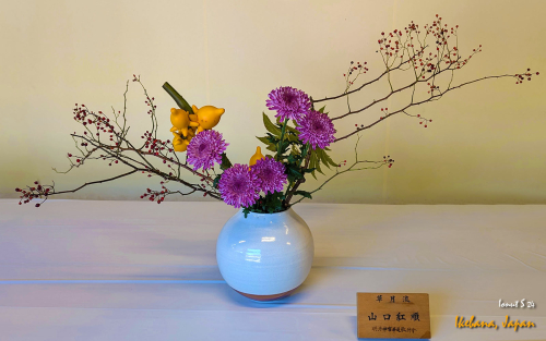 Ikebana-PXL 20241103 022445620