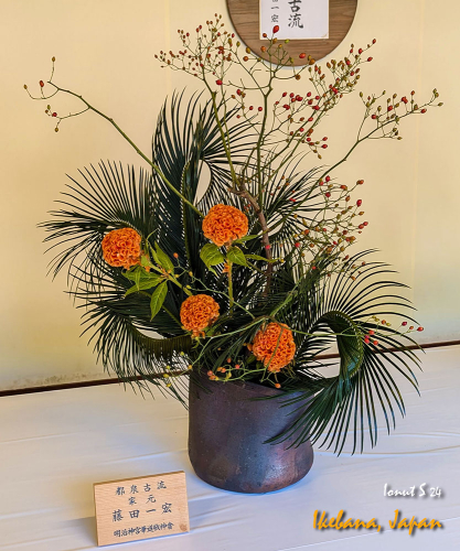 Ikebana-PXL 20241103 022530144