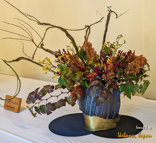 Ikebana-PXL 20241103 022615766