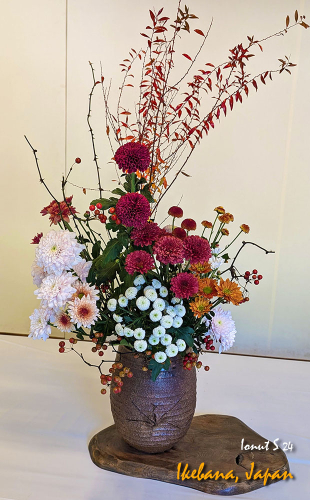 Ikebana-PXL 20241103 022628234