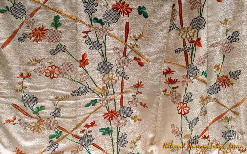 PXL 20241102 031654607